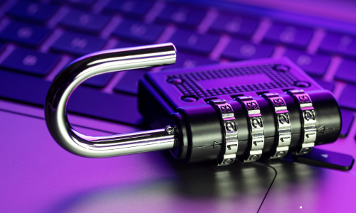 Web Application Security Testing: What It Covers